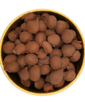 Lolli and Pops Bulk Milk Chocolate Double-Dipped Peanuts