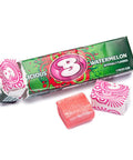 Lolli and Pops Retro Bubblicious Watermelon Gum